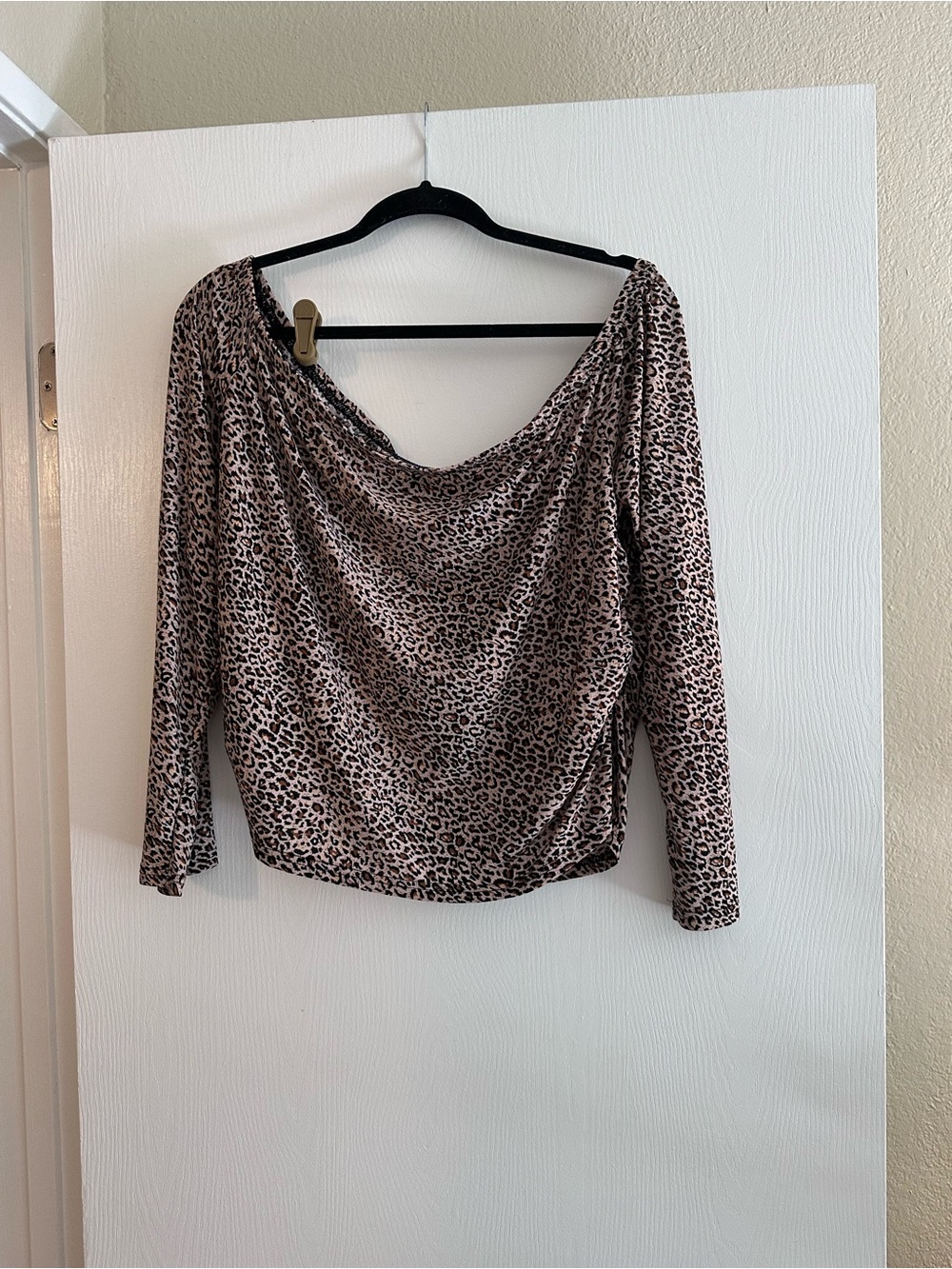 Leopard Print Off the Shoulder Long-Sleeve Top -